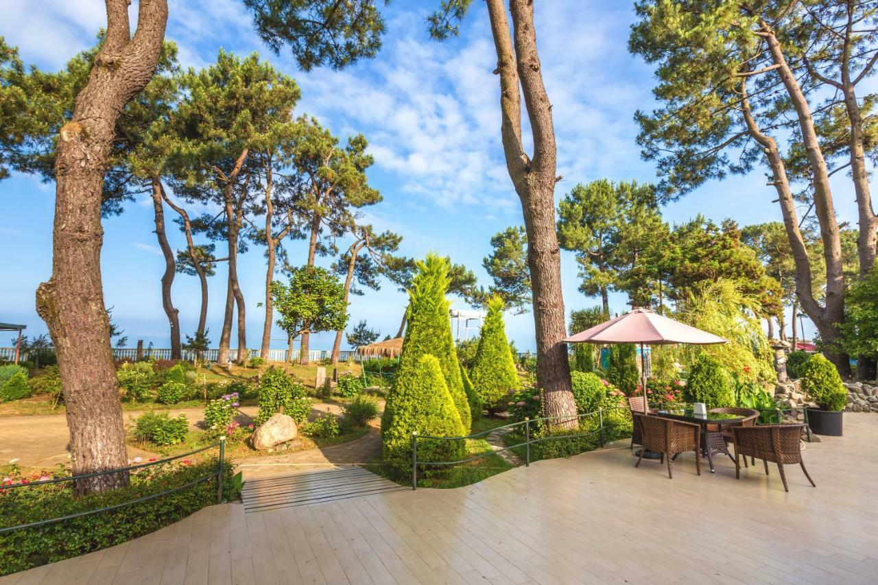 אורקי Kolkhida Resort & Spa מראה חיצוני תמונה